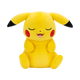 191726756903