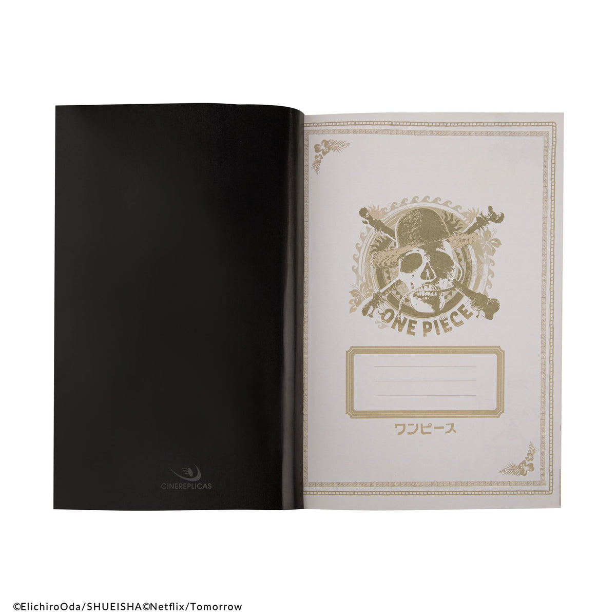 4895205618947