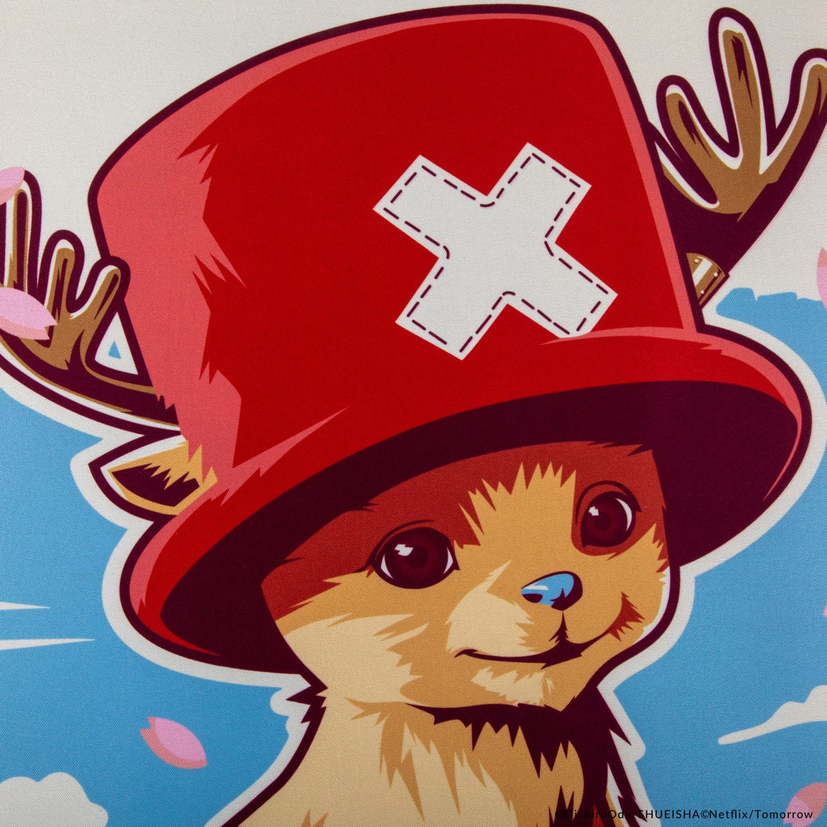 4895205624634