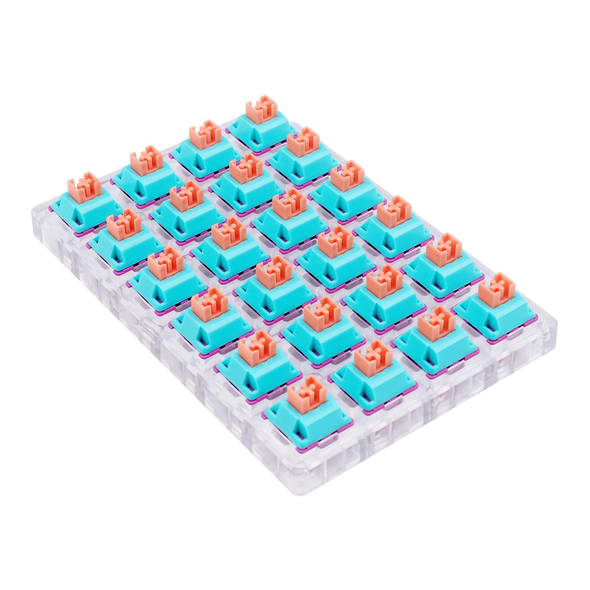 6950376707796