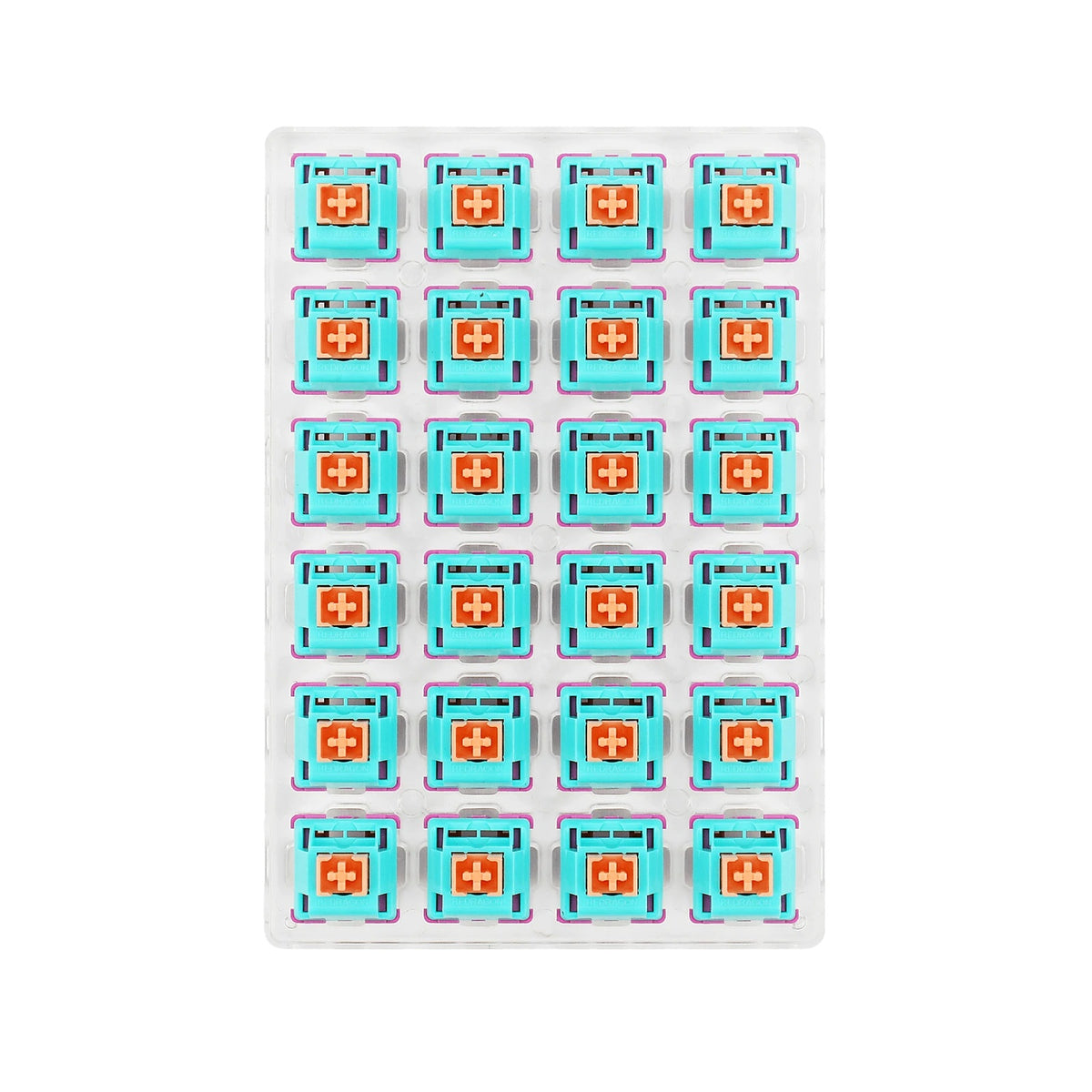 6950376707796