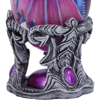 801269155445