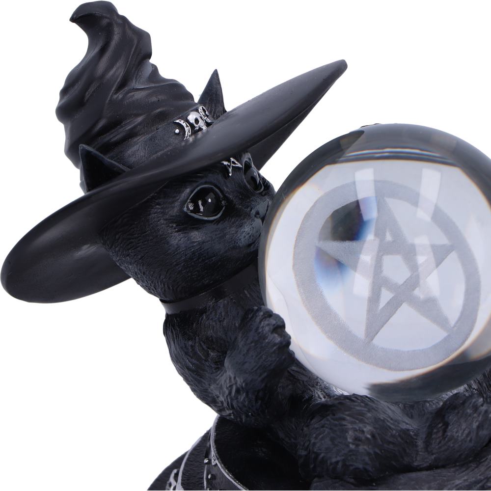 801269156541