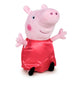 8425611385988