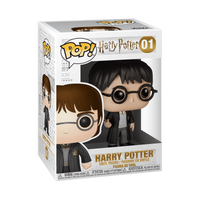 FUNKO POP! VINYL: HARRY POTTER: HARRY POTTER