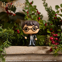 FUNKO POP! VINYL: HARRY POTTER: HARRY POTTER